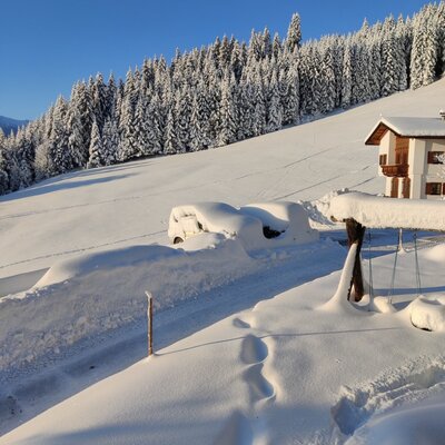 Winterlandschaft der Alm mit tief verschneiten Bäumen und einem Haus unter blauem Himmel.