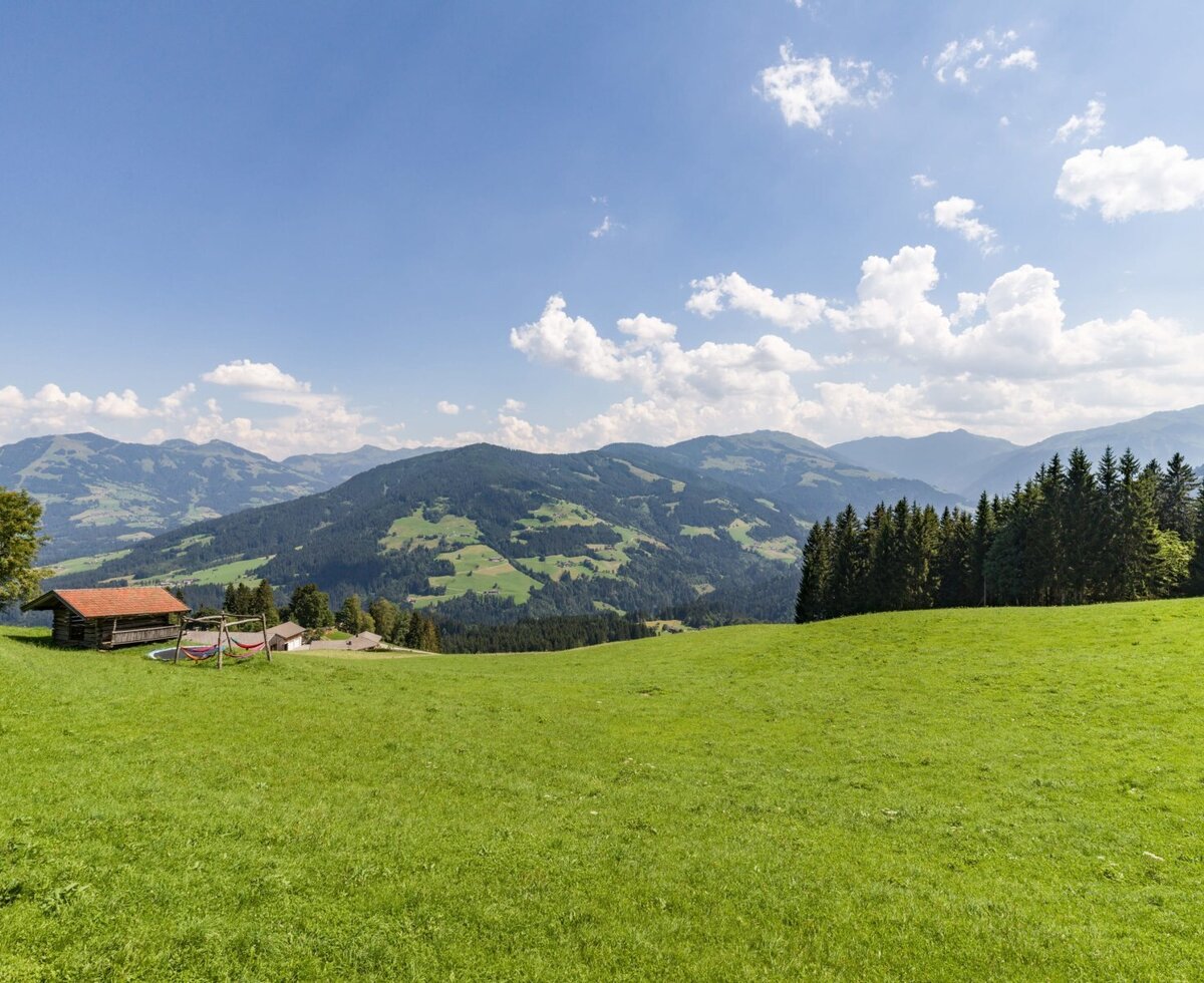 Aussicht von der Flecklhütte mit einer weiten grünen Wiese, einer Holzhütte mit Hängematten und Bergblick.