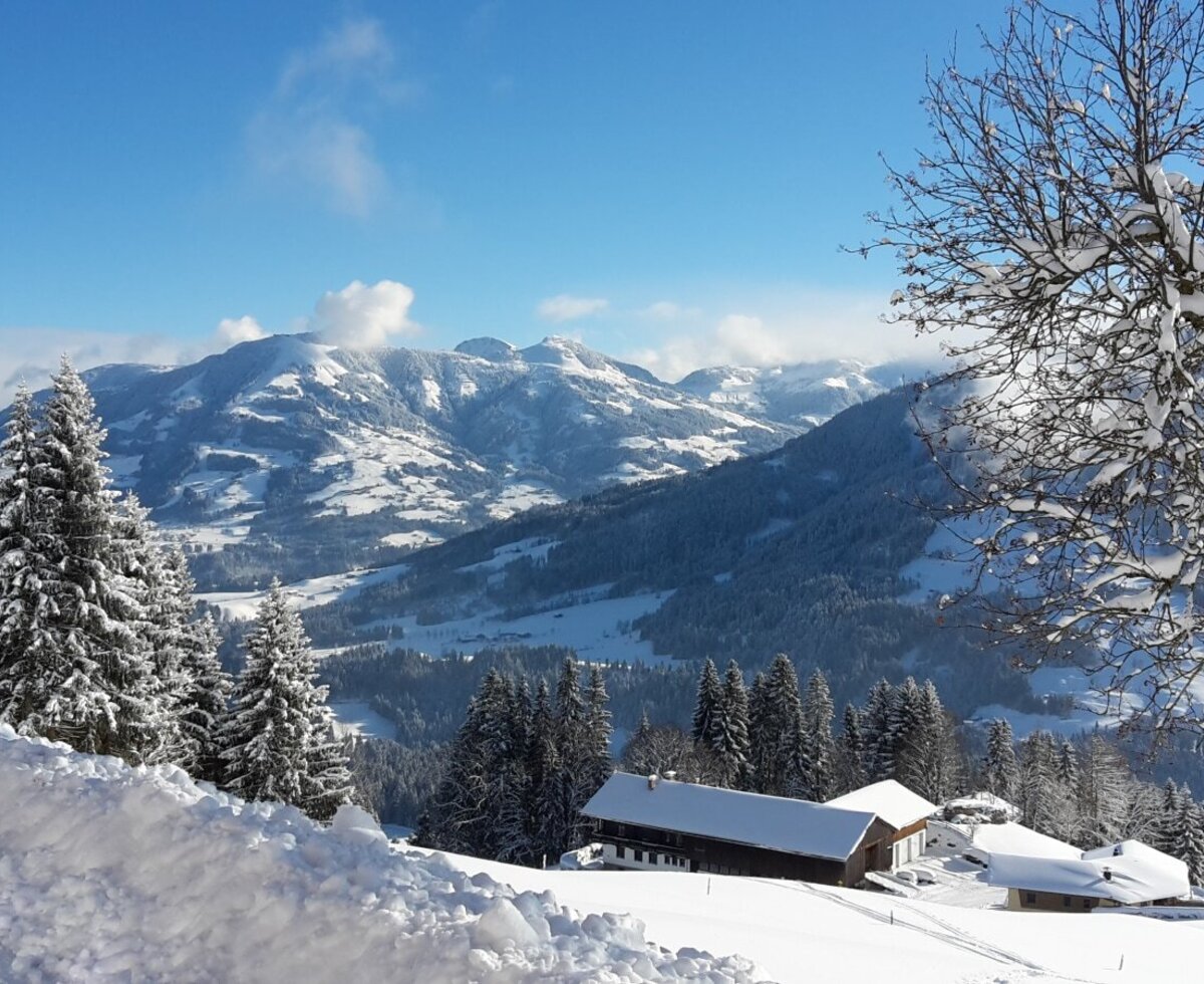 Winterlandschaft mit der Alm, umgeben von schneebedeckten Bäumen und Bergen.
