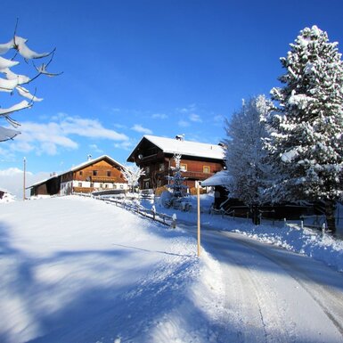 Der Bauernhof in einer verschneiten Winterlandschaft mit Tannenbäumen und blauem Himmel.