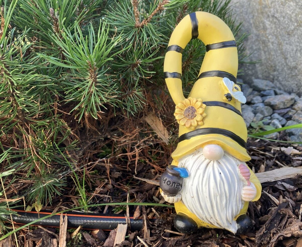 Ein charmanter Gartenzwerg im Bienen-Look, liebevoll platziert im Garten des Bed and Breakfasts.