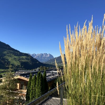 Ein malerischer Ausblick vom Balkon des Bed and Breakfasts auf die grünen Hügel und die fernen Berggipfel.