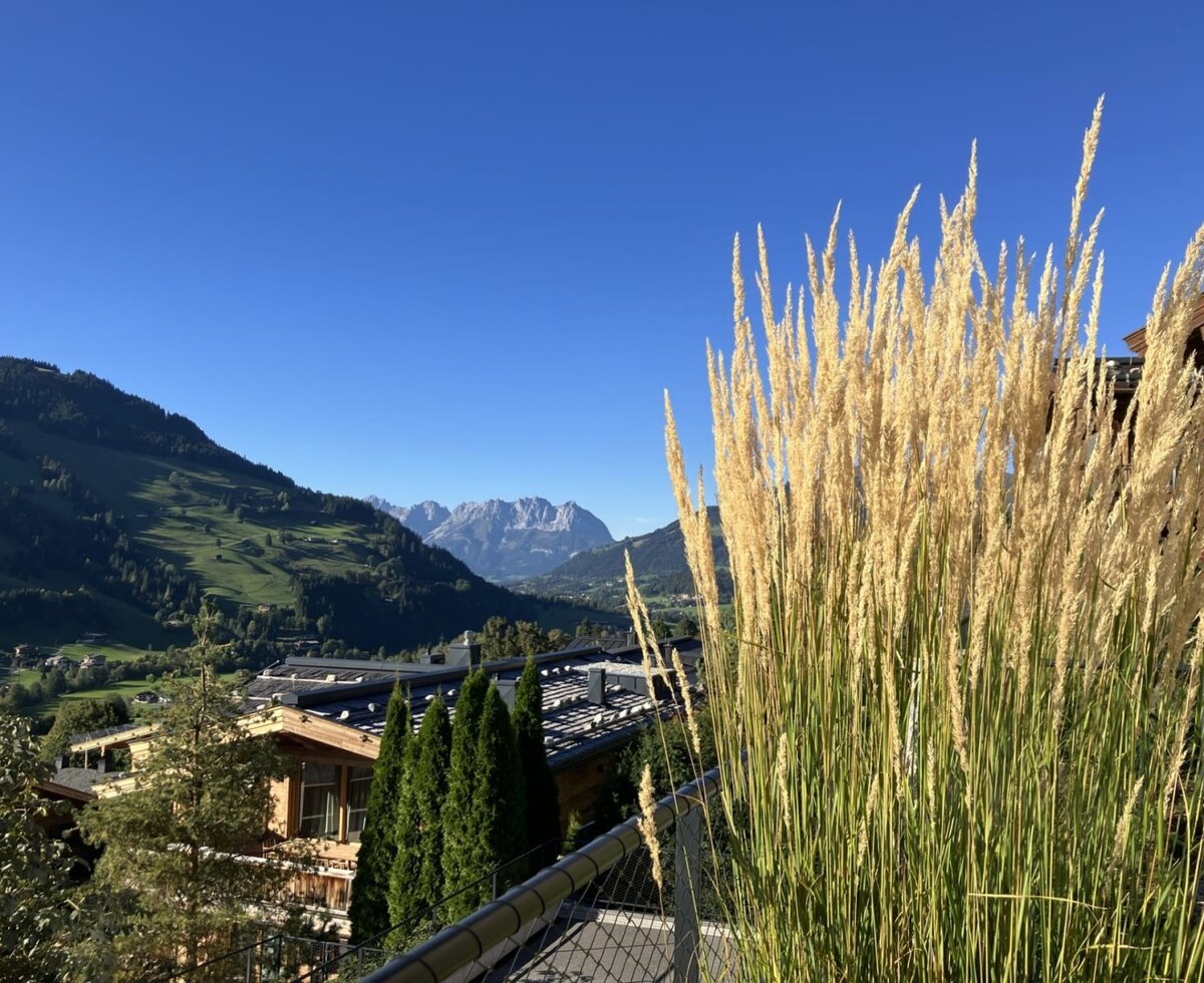 Ein malerischer Ausblick vom Balkon des Bed and Breakfasts auf die grünen Hügel und die fernen Berggipfel.