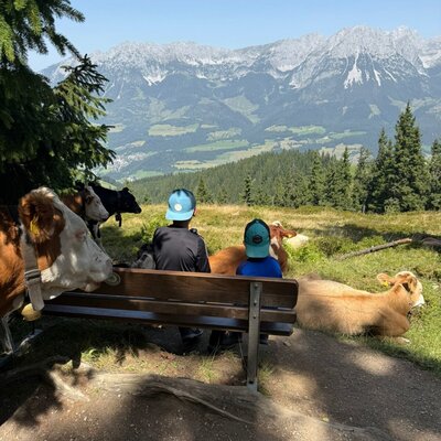 Almwanderung