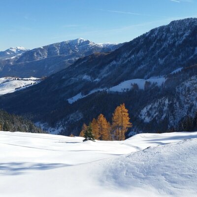 Aussicht von der Alm
