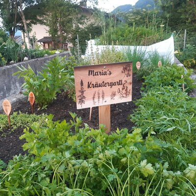 Marias Kräutergarten
