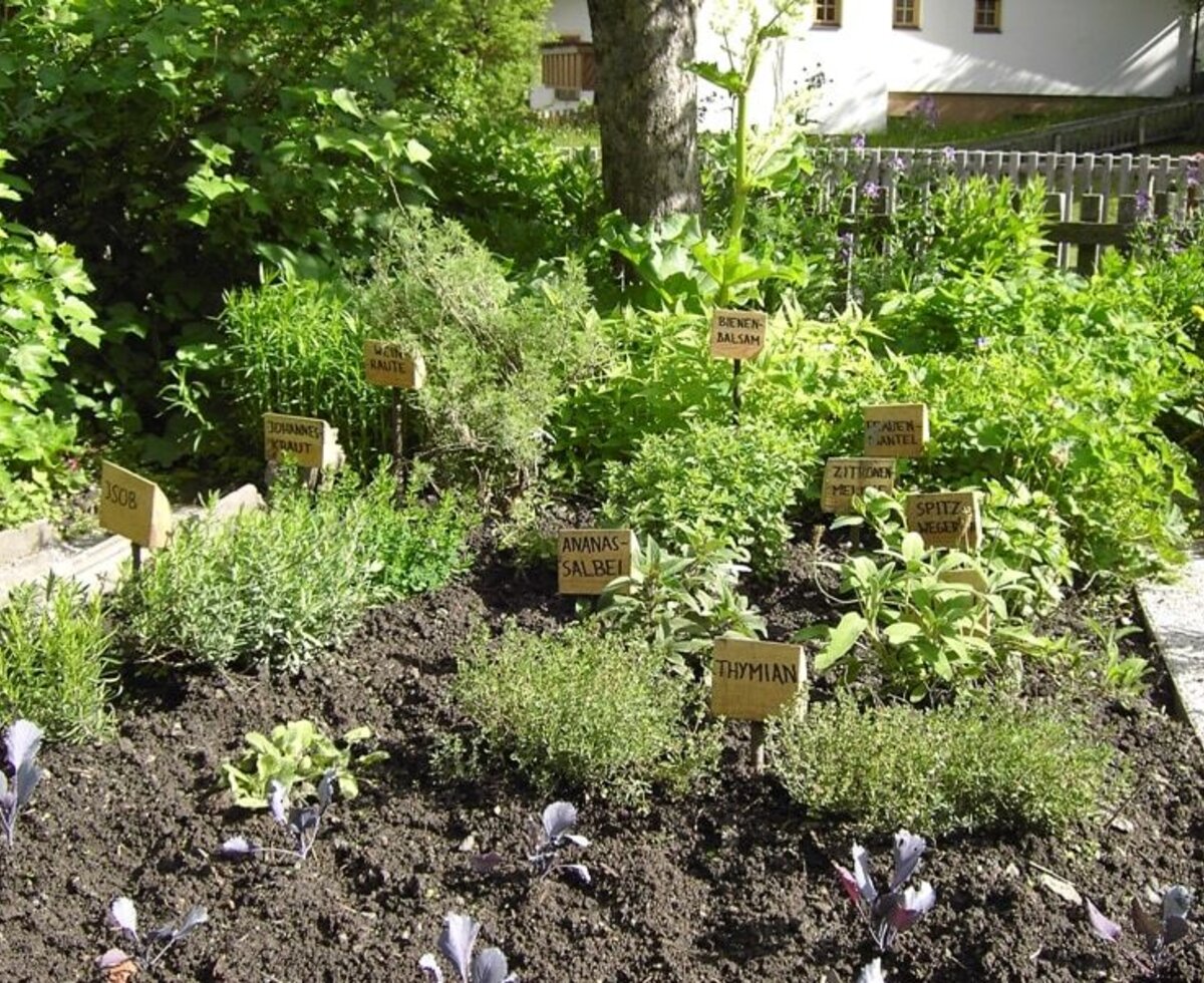 Kräutergarten