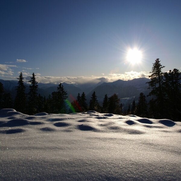 Aifner Alm