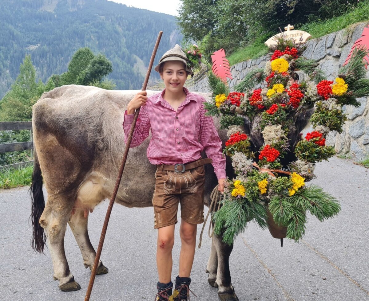 Almabtrieb