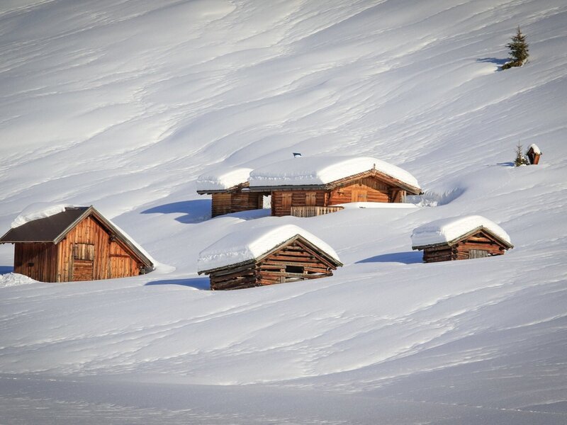 Mehrere verschneite Holzhütten auf einem schneebedeckten Hang, die die winterliche Umgebung des Bauernhofs zeigen.