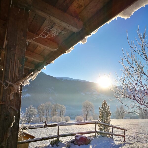 Winter Landschaft