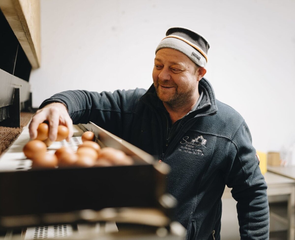 Ein Mitarbeiter des Bauernhofs sortiert frische Eier für die Gäste.