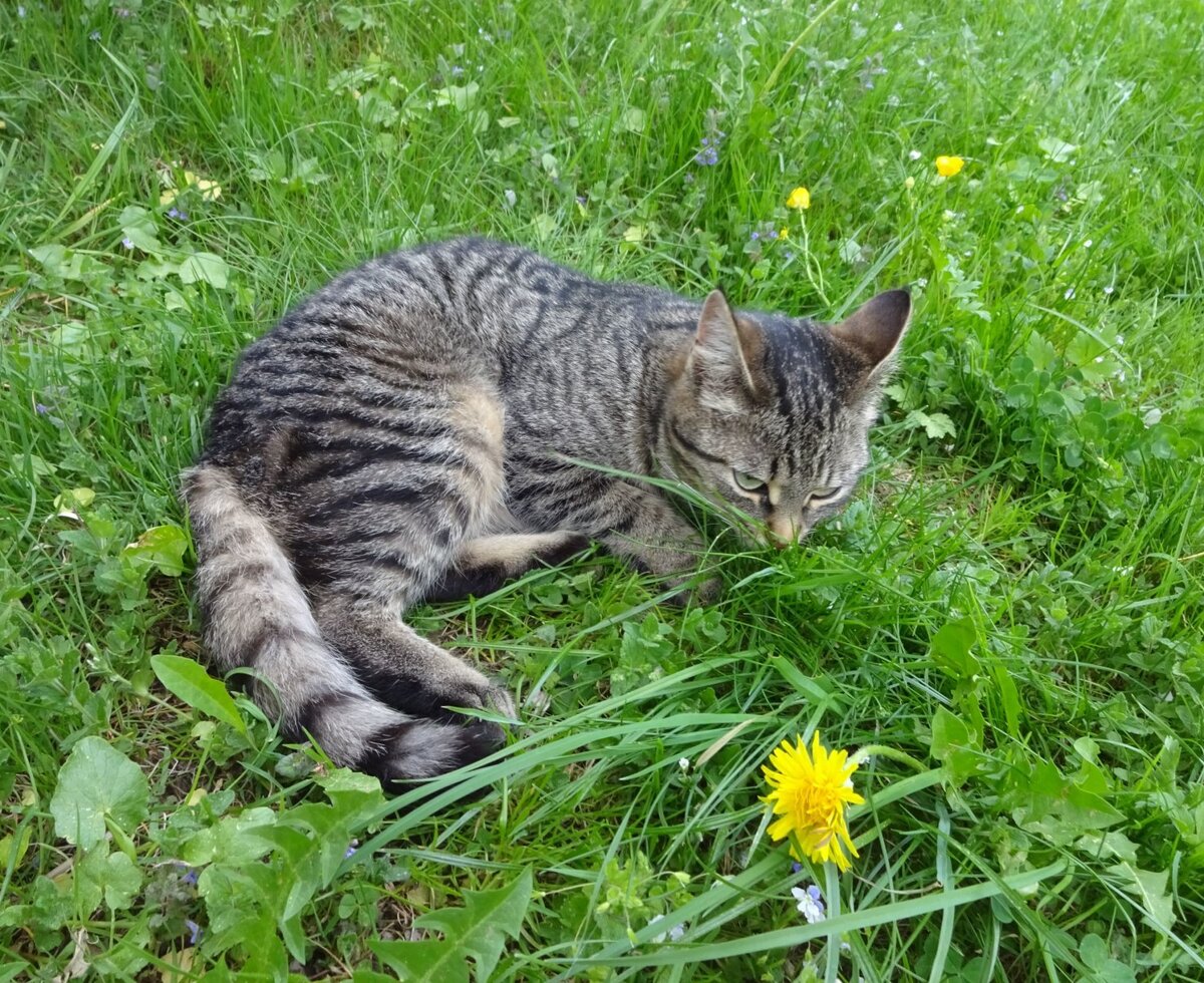beim Faulenzen