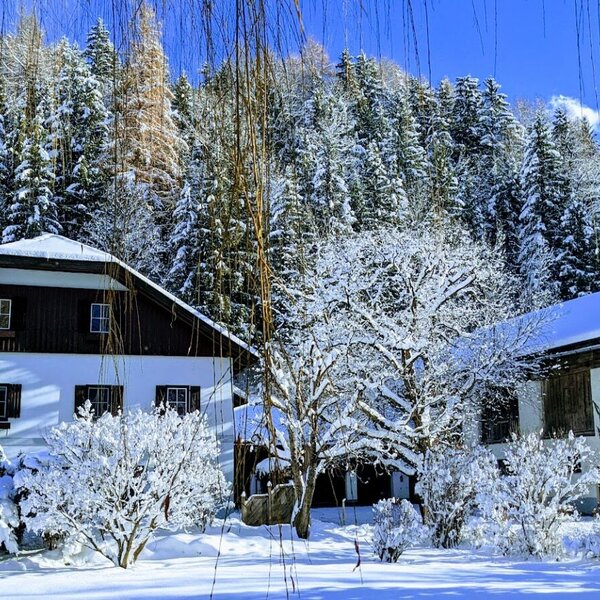 Winter am Hof