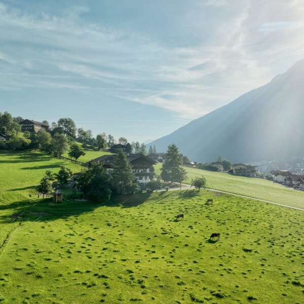 Ladestatthof im Sommer