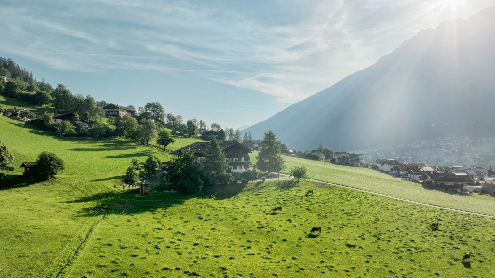 Ladestatthof im Sommer