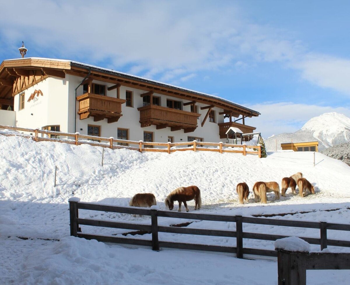 Die Appartements mit traditioneller Holzarchitektur, Balkonen und Blick auf die verschneite Landschaft mit Pferden.