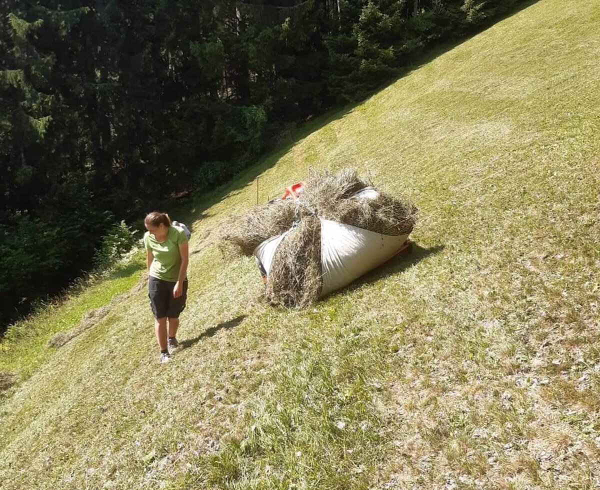 Ein Mitarbeiter des Bauernhofs bei der Heuernte auf der Wiese, umgeben von Wald.
