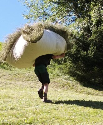 Tägliche Hofarbeit auf dem Bauernhof: Eine Person transportiert Heu.