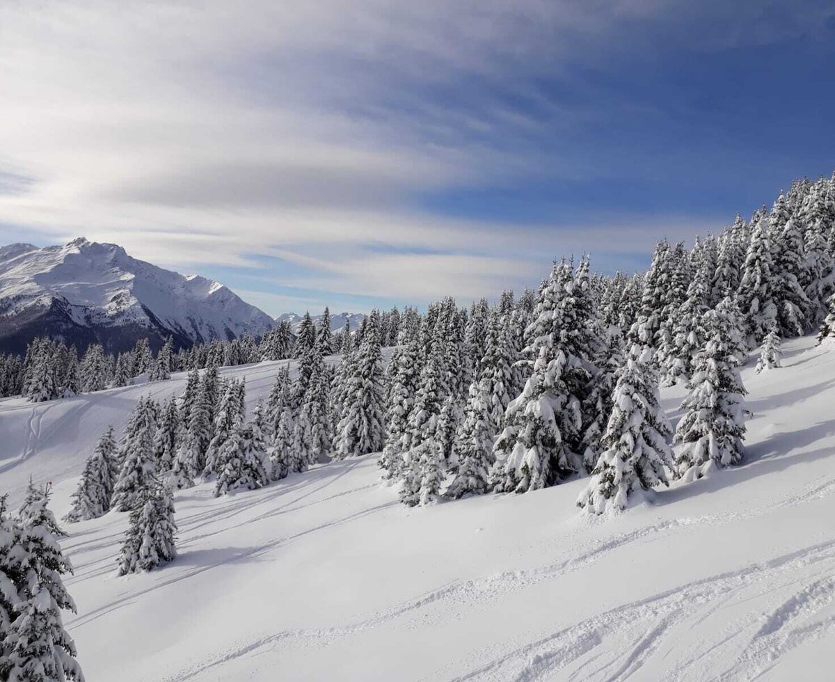 Winterliche Berglandschaft mit schneebedeckten Bäumen und Skispuren, die die Skigebiete nahe dem Bauernhof zeigt.