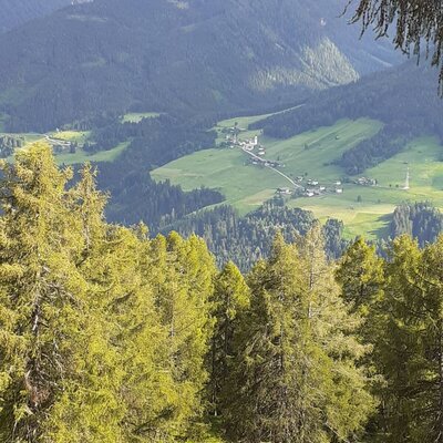 Talblick (Almweg)