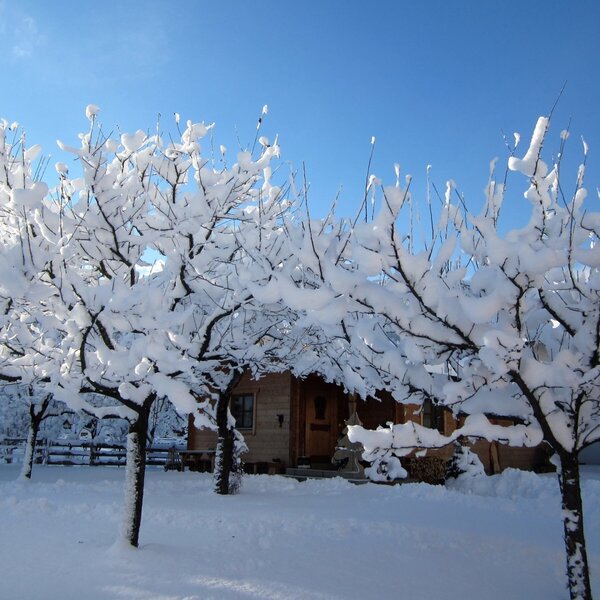 frischer Schnee