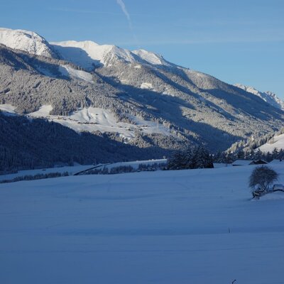 Blick auf eine winterliche Landschaft mit schneebedeckten Bergen, Wäldern und Feldern rund um den Bauernhof.