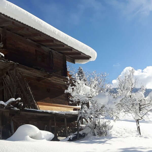 Ein verschneites Holzgebäude auf dem Bauernhof, umgeben von schneebedeckten Bäumen unter blauem Himmel.