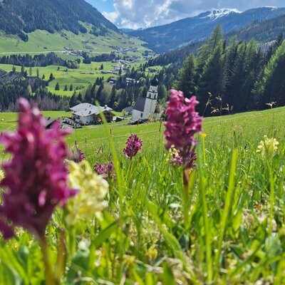Blick Richtung Kartitsch
