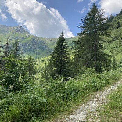 Hollbrucker Tal