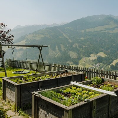 Hochbeete mit frischen Pflanzen und ein Kinderspielplatz auf dem Bauernhof mit Bergblick.