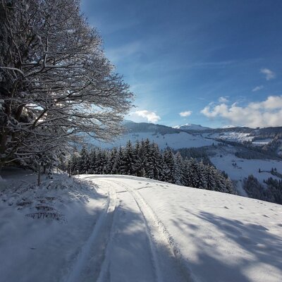 Auf dem Weg zu unserem Chalet
