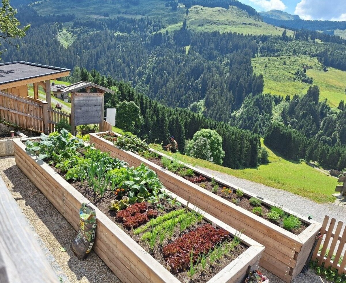 Hochbeet