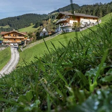 Auffahrt zum Prädastenhof und -Zuahaus Auffahrt zum Prädastenhof und -Zuahaus