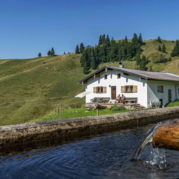 Die Alm mit ihrer Terrasse und einem Wasserbrunnen im Vordergrund, eingebettet in eine grüne Berglandschaft.