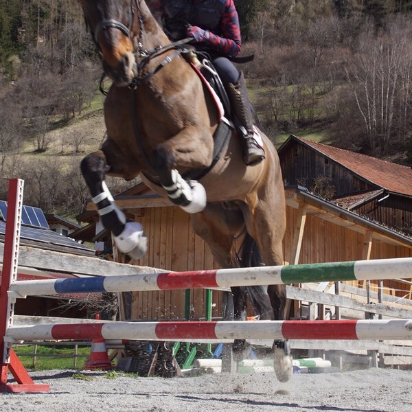 Springreiten auf dem Gelände der Ap­par­te­ments.