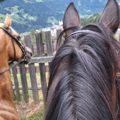 Zwei Pferde mit Zaumzeug vor einem Holzzaun, mit einer Berglandschaft und einem Dorf im Hintergrund.