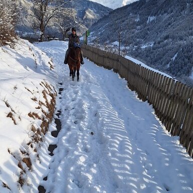 Die Winterlandschaft genießen