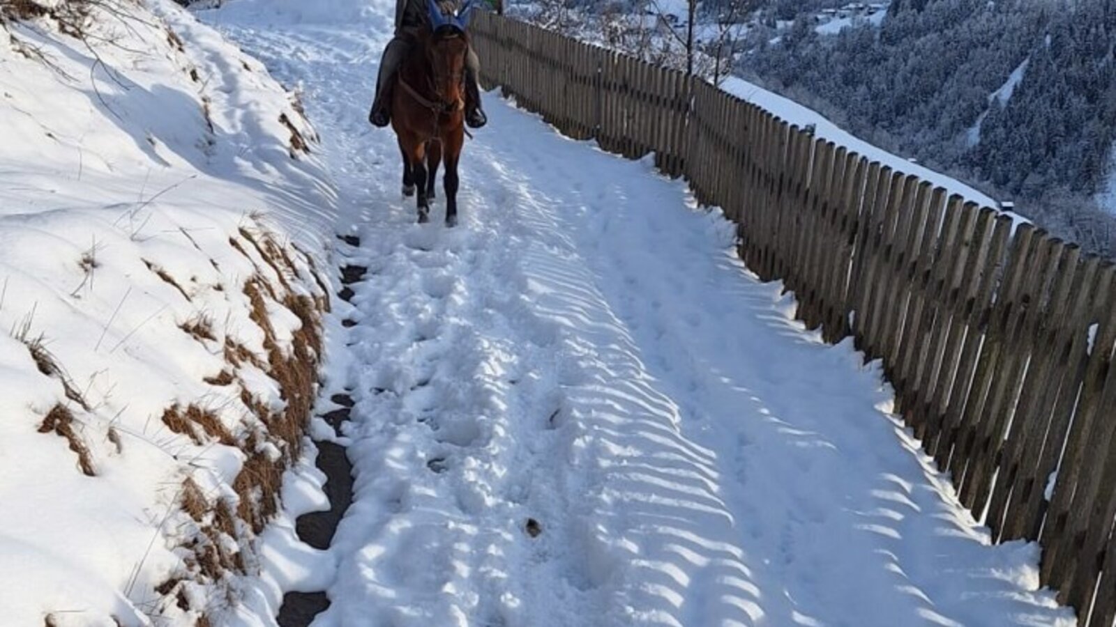 Die Winterlandschaft genießen