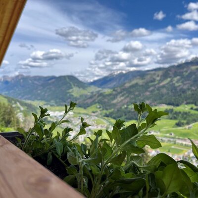 Aussicht Balkon Riedlhof