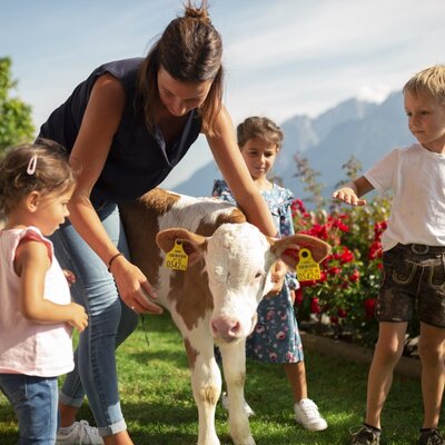 Familie mit Kalb