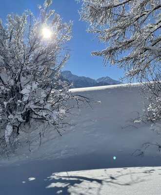 Winterlandschaft mit tiefem Schnee, verschneiten Bäumen, Sonnenschein und Bergpanorama um den Bauernhof.
