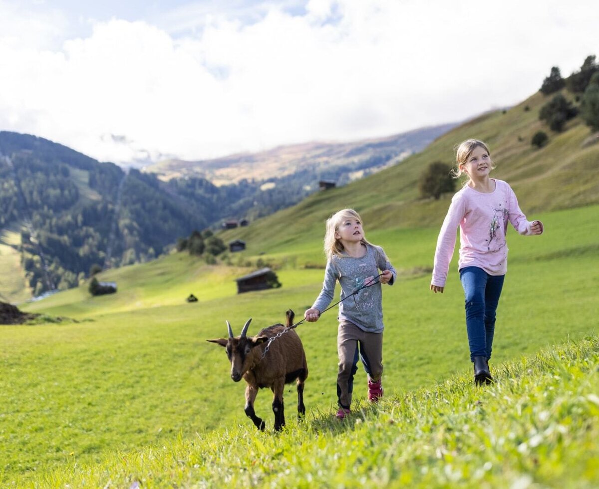 Tiere kennenlernen