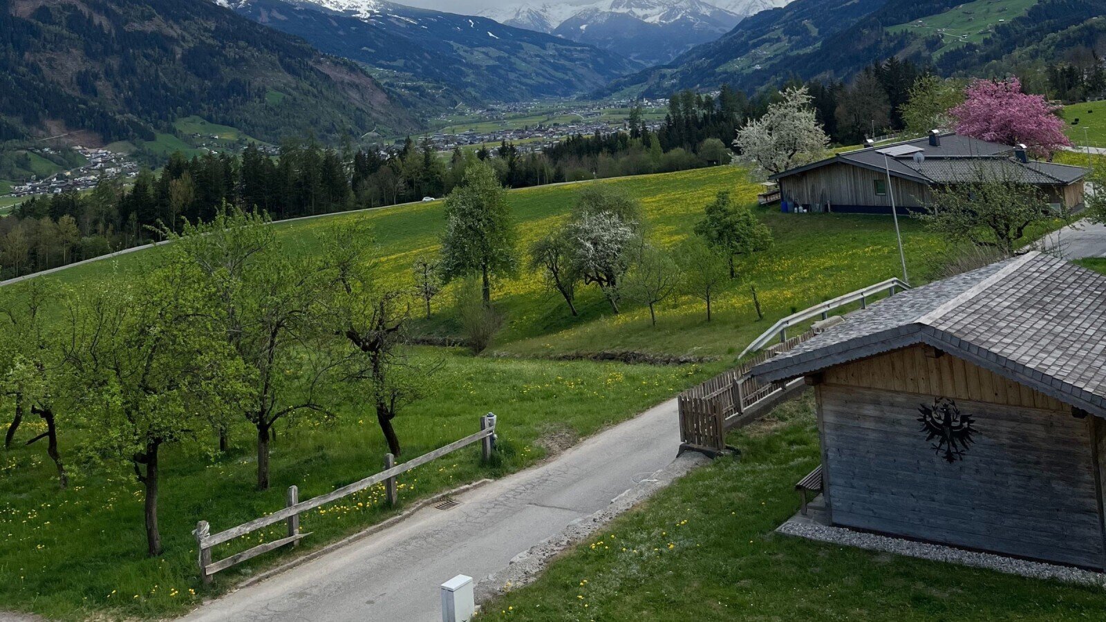 Die Gebäude des Bauernhofs inmitten grüner Wiesen mit Blick auf das Tal und die Berge.