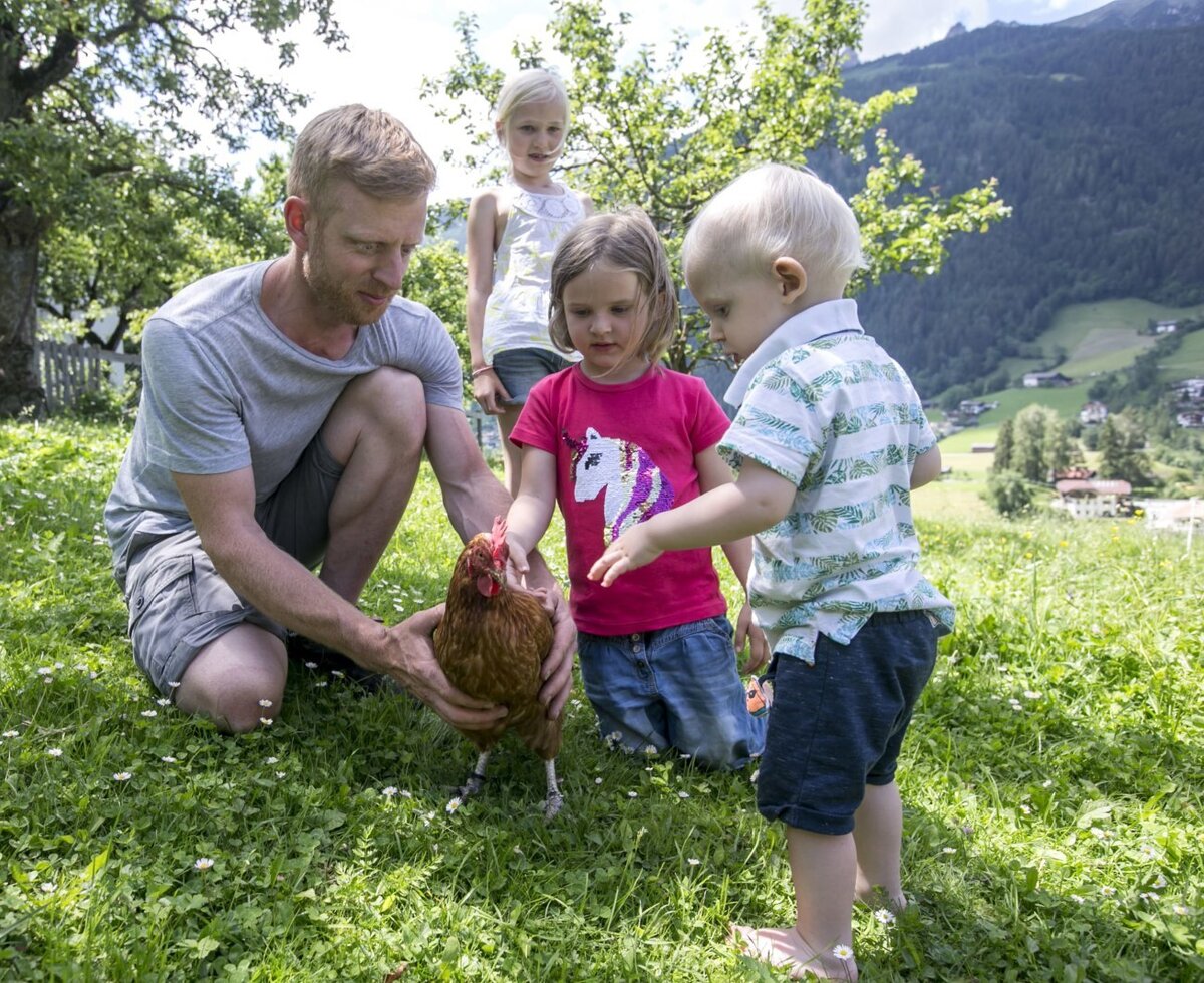 Schon mal ein Huhn gestreichelt?