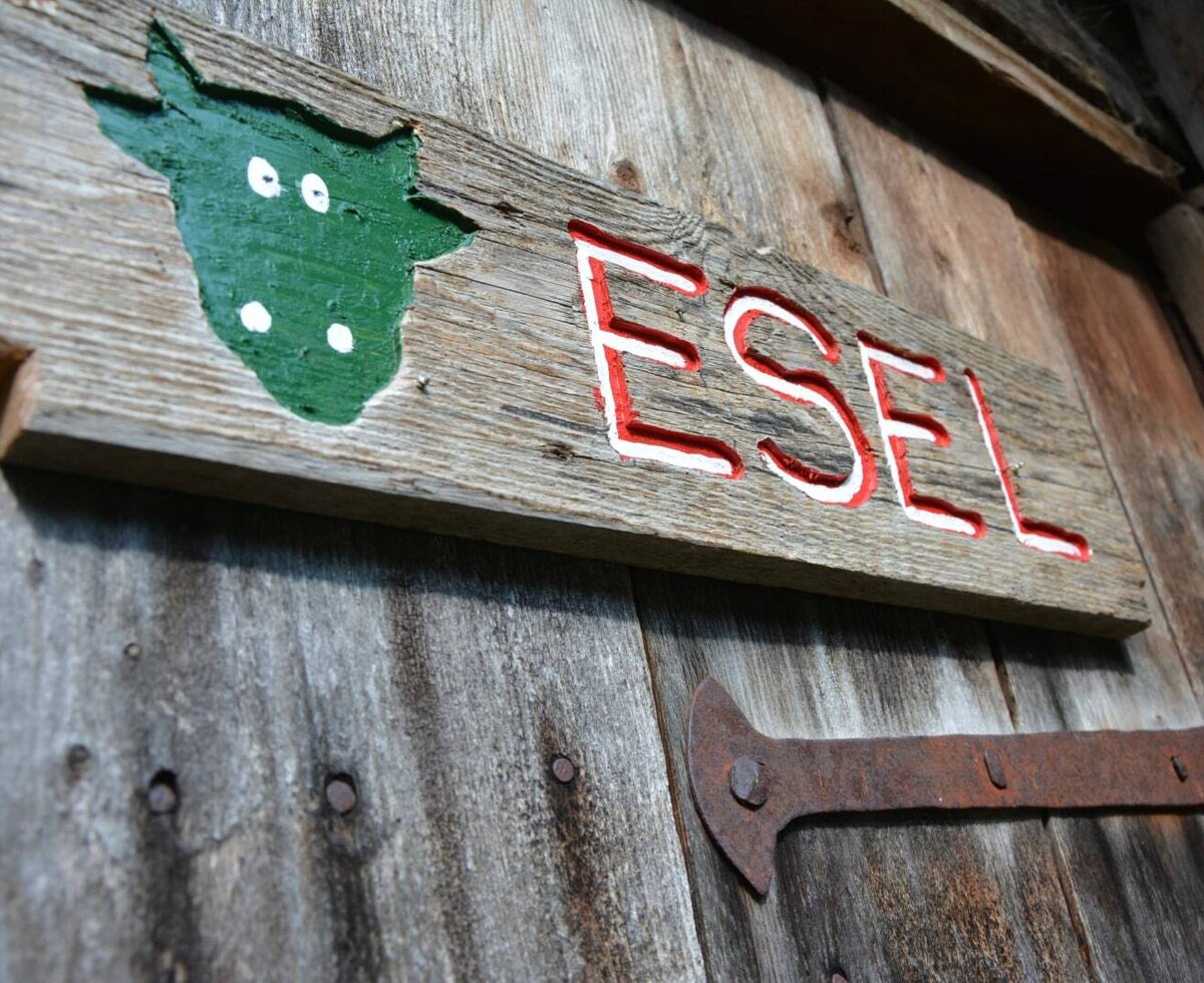 Holzschild mit der Aufschrift „ESEL“ und einem Eselskopf am Bauernhof.