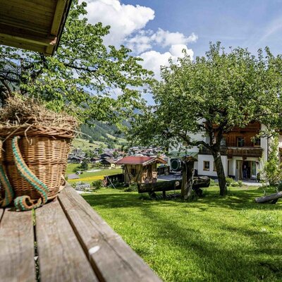 Der einladende Garten des Bauernhofs mit einer saftig grünen Wiese, schattenspendenden Bäumen und einem ländlichen Ausblick.