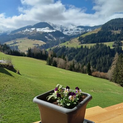 Blick vom Balkon des Bauernhofs auf die umliegende Berglandschaft mit grünen Wiesen, Wäldern und schneebedeckten Gipfeln.