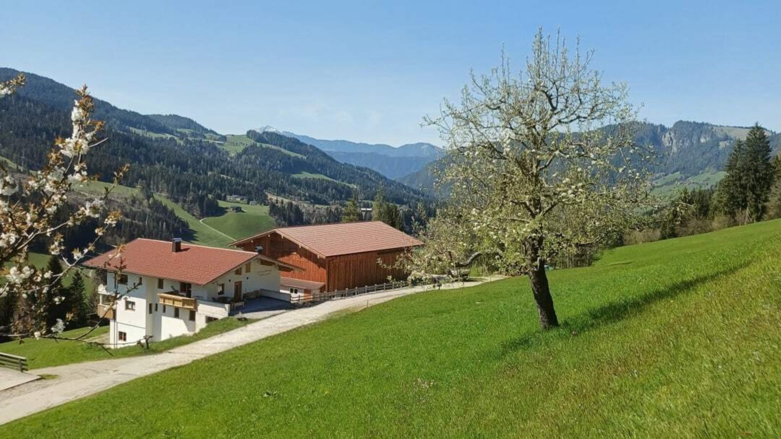 Außenansicht des Bauernhofs, umgeben von grünen Wiesen und mit Blick auf die Berge.