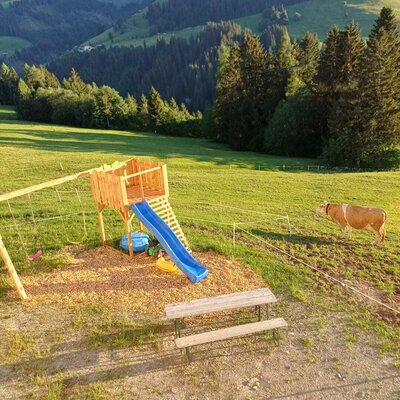 Kinderspielplatz auf dem Bauernhof mit Rutsche, Schaukeln und einer Picknickbank, angrenzend an eine Kuhweide mit Bergblick.